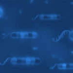 Blue banner